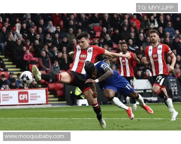 切尔西与曼彻斯特城最新对决数据分析及比赛回顾